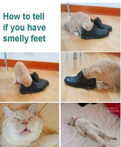 1_.jpg