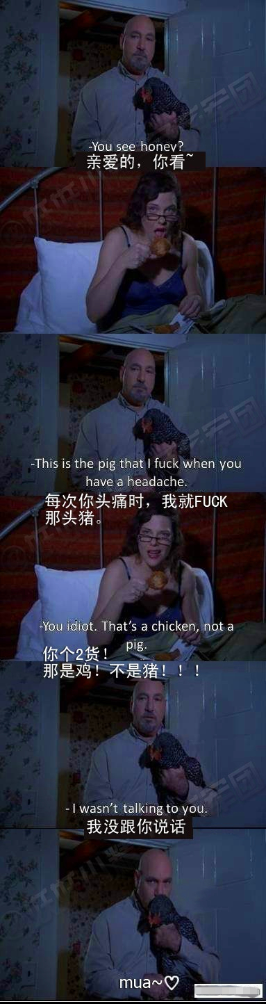 Ǽ.jpg