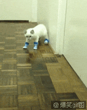 ΢_1556826072l.gif