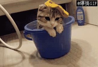 865bfa1f7ade9ca3f724e4d2.gif