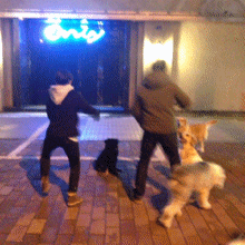 174416wjzg3aw0wk4watwj.gif