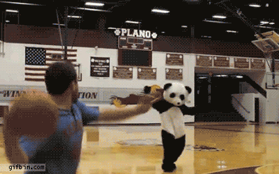 8.gif