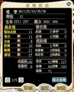 03101 飞天猫