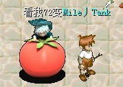 14.jpg