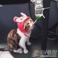 δ.gif