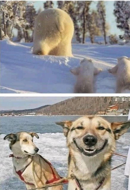 KGCIFURDJ4FQSSM78S@`3K6.jpg
