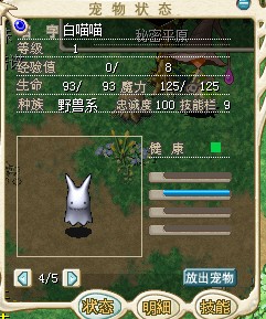 喵喵.jpg