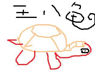 硬壳龟
