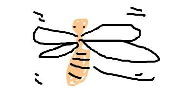 黄蜂