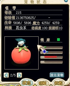 番茄1.jpg