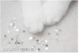 a8773912b31bb051d7005c49377adab44aede0af.jpg