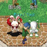 兔子.jpg