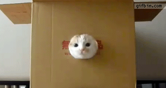 2868292_64.gif