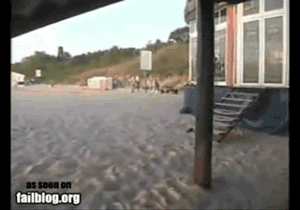 高手.gif