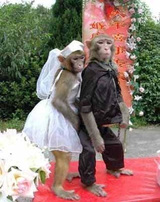 wukong.jpg