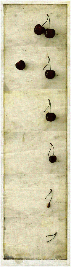 dongchu.gif