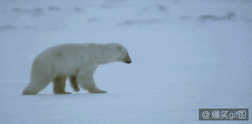ܺ.gif