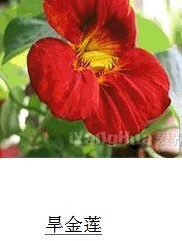 补一张名字滴由来...我起滴名字霸气么- -