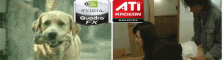 5.gif