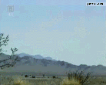 ̺ʽը.gif