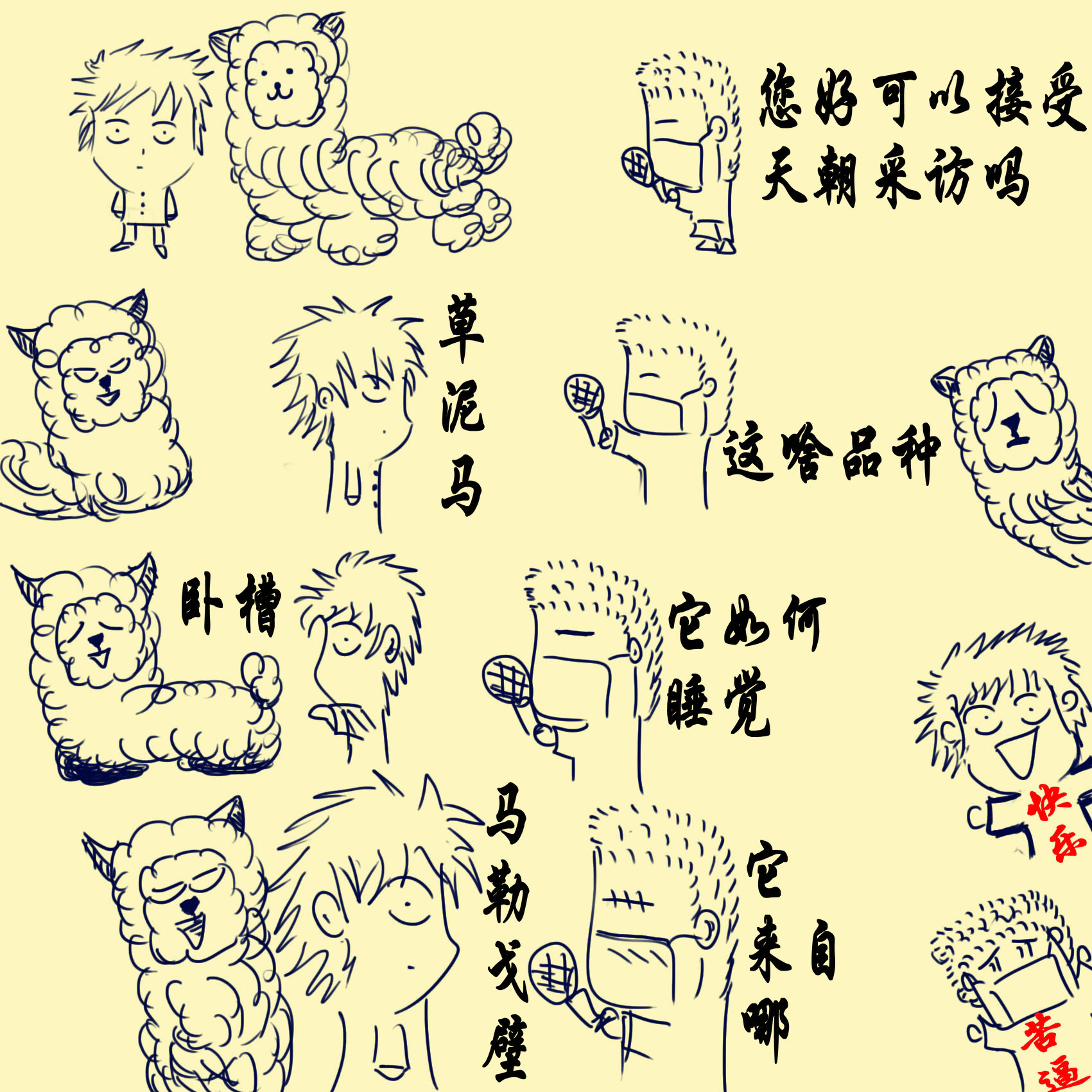 草泥马.jpg