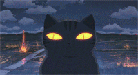 {BD316847-9DDA-420E-80AF-7676BAA873B4}.gif