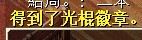 光棍节徽章.jpg